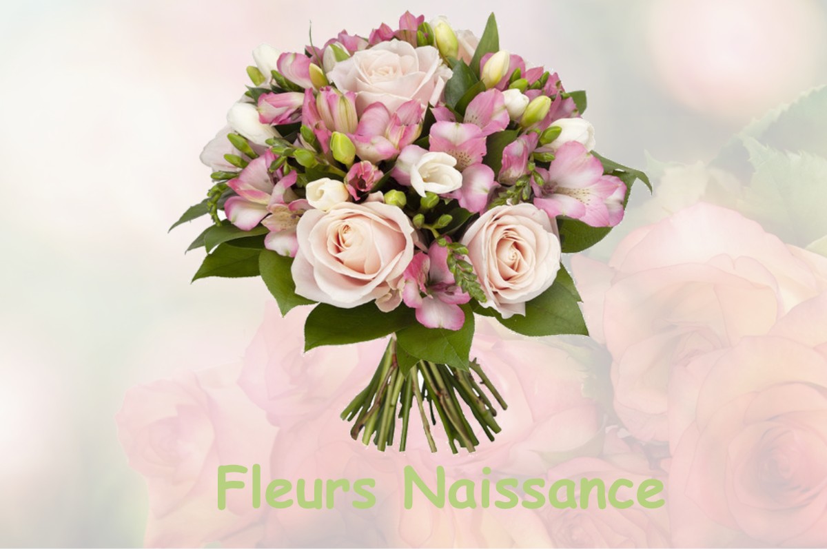 fleurs naissance LE-FRESTOY-VAUX